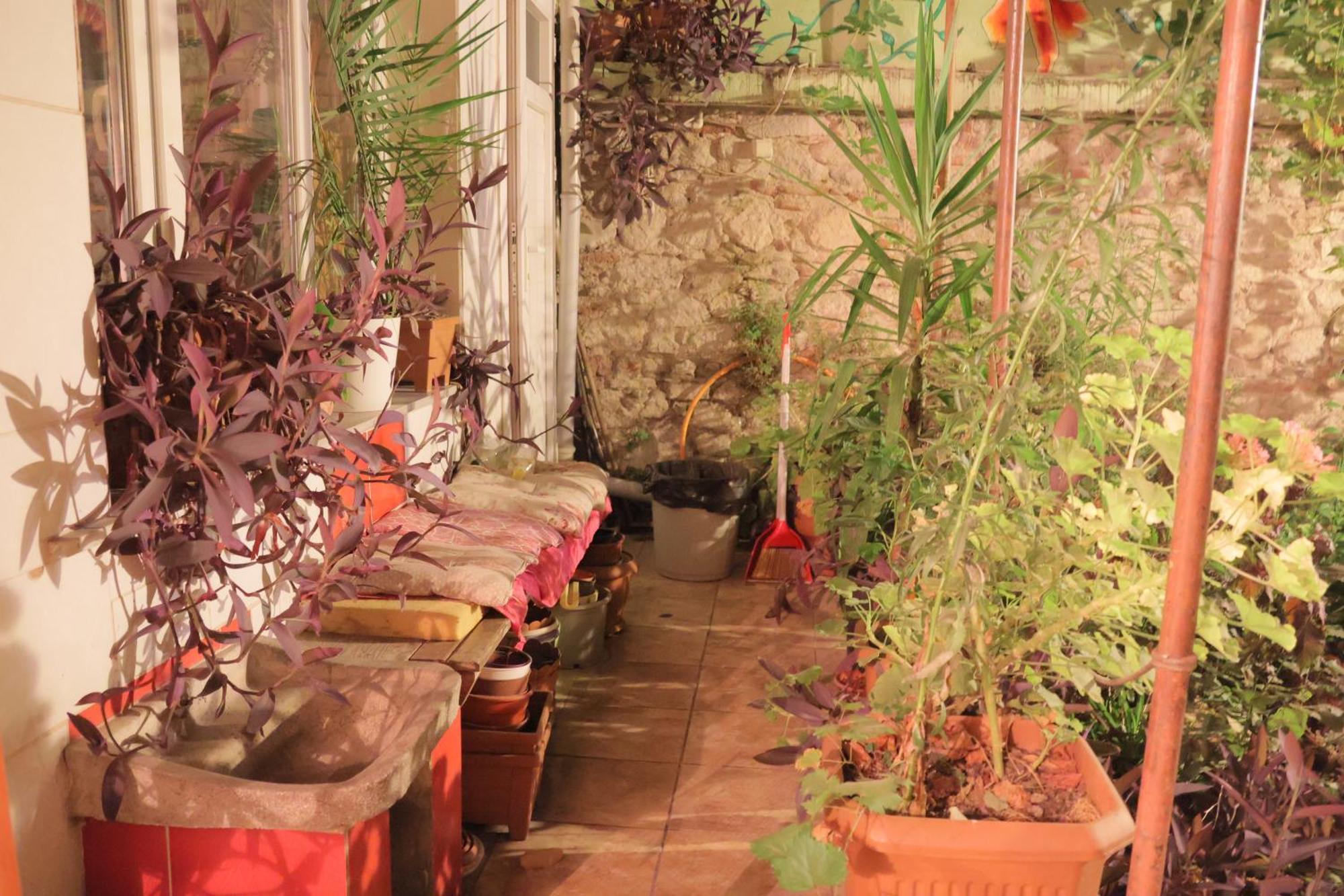 Lotus Garden Hostel Σμύρνη Εξωτερικό φωτογραφία